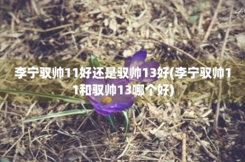 李宁驭帅11好还是驭帅13好(李宁驭帅11和驭帅13哪个好)