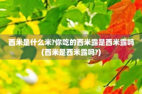 西米是什么米?你吃的西米露是西米露吗(西米是西米露吗?)