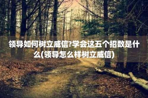 领导如何树立威信?学会这五个招数是什么(领导怎么样树立威信)