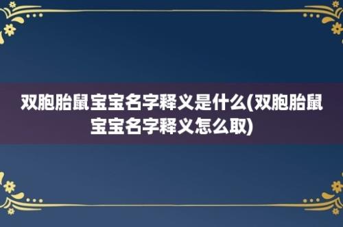 双胞胎鼠宝宝名字释义是什么(双胞胎鼠宝宝名字释义怎么取)