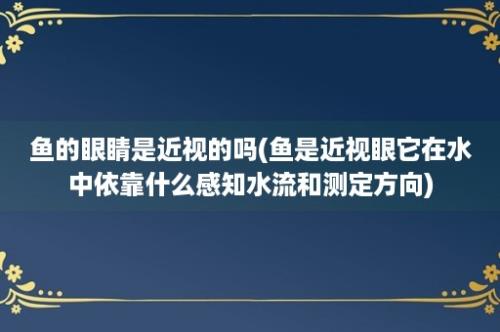 鱼的眼睛是近视的吗(鱼是近视眼它在水中依靠什么感知水流和测定方向)