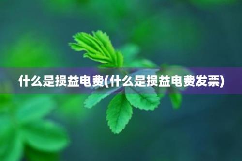 什么是损益电费(什么是损益电费发票)