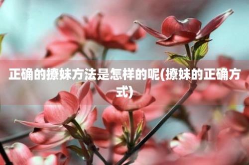 正确的撩妹方法是怎样的呢(撩妹的正确方式)