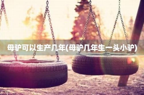 母驴可以生产几年(母驴几年生一头小驴)