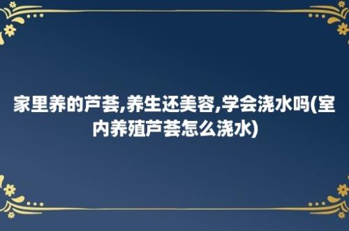 家里养的芦荟,养生还美容,学会浇水吗(室内养殖芦荟怎么浇水)