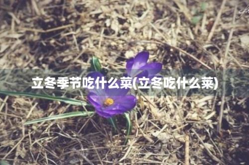 立冬季节吃什么菜(立冬吃什么莱)