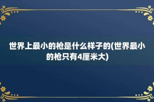 世界上最小的枪是什么样子的(世界最小的枪只有4厘米大)