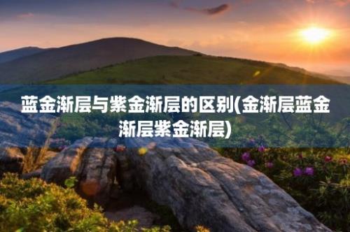 蓝金渐层与紫金渐层的区别(金渐层蓝金渐层紫金渐层)