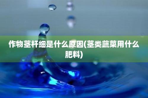 作物茎杆细是什么原因(茎类蔬菜用什么肥料)