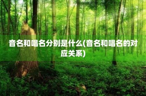 音名和唱名分别是什么(音名和唱名的对应关系)