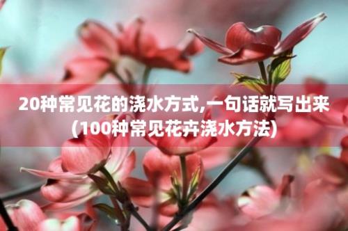 20种常见花的浇水方式,一句话就写出来(100种常见花卉浇水方法)