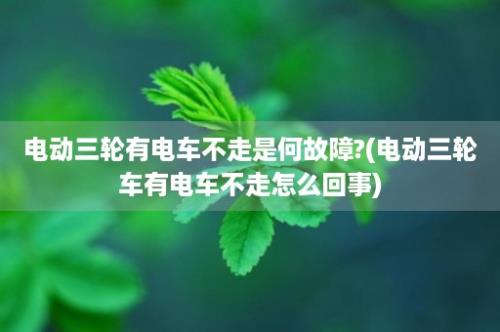 电动三轮有电车不走是何故障?(电动三轮车有电车不走怎么回事)