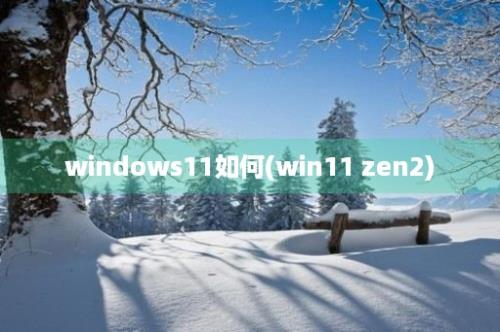 windows11如何(win11 zen2)