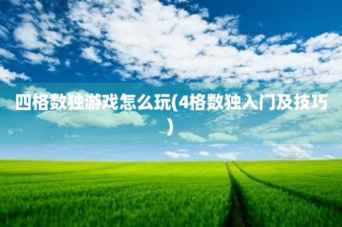 四格数独游戏怎么玩(4格数独入门及技巧)