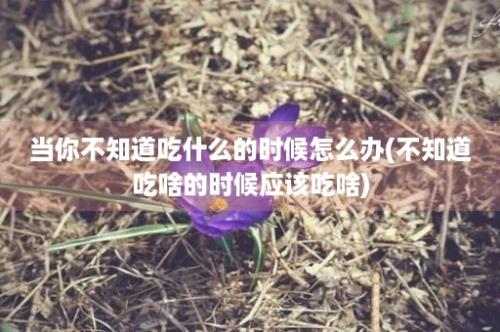 当你不知道吃什么的时候怎么办(不知道吃啥的时候应该吃啥)