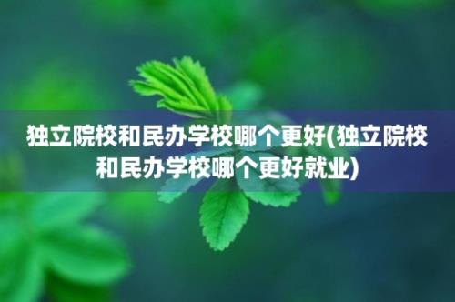 独立院校和民办学校哪个更好(独立院校和民办学校哪个更好就业)