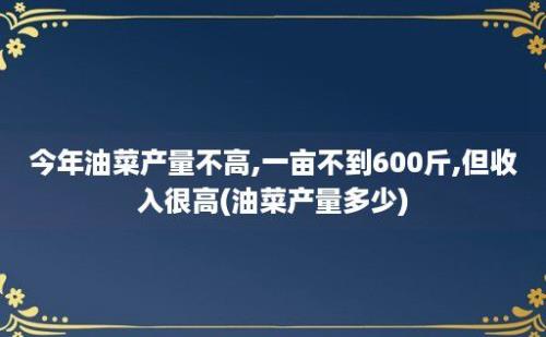 今年油菜产量不高,一亩不到600斤,但收入很高(油菜产量多少)