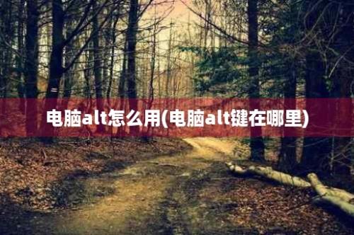 电脑alt怎么用(电脑alt键在哪里)