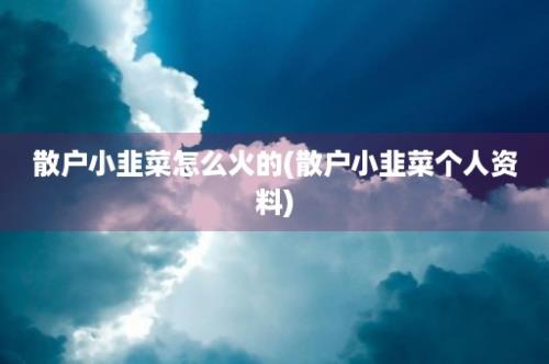 散户小韭菜怎么火的(散户小韭菜个人资料)