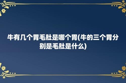 牛有几个胃毛肚是哪个胃(牛的三个胃分别是毛肚是什么)