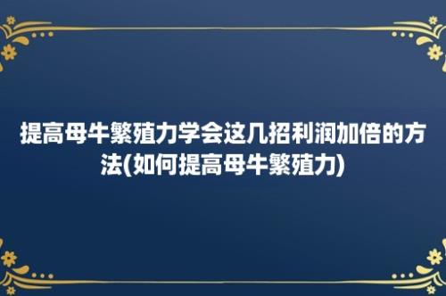 提高母牛繁殖力学会这几招利润加倍的方法(如何提高母牛繁殖力)