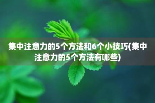 集中注意力的5个方法和6个小技巧(集中注意力的5个方法有哪些)