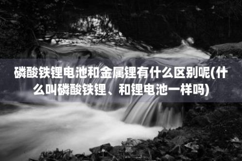 磷酸铁锂电池和金属锂有什么区别呢(什么叫磷酸铁锂、和锂电池一样吗)