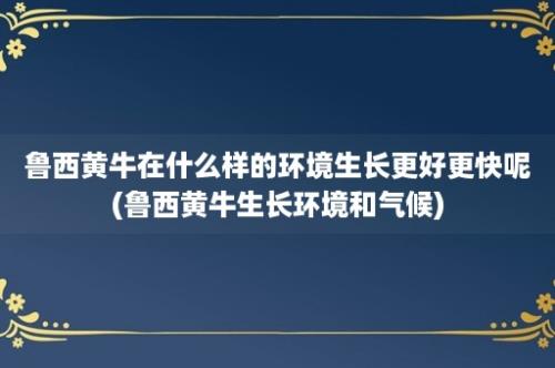 鲁西黄牛在什么样的环境生长更好更快呢(鲁西黄牛生长环境和气候)