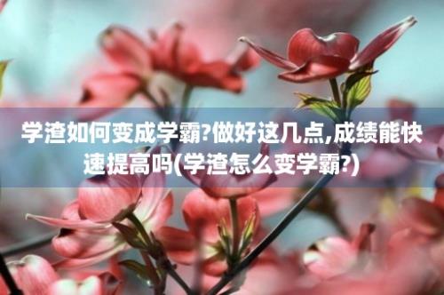 学渣如何变成学霸?做好这几点,成绩能快速提高吗(学渣怎么变学霸?)