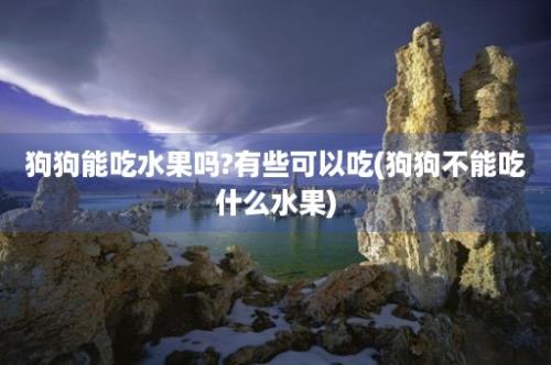 狗狗能吃水果吗?有些可以吃(狗狗不能吃什么水果)