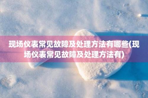 现场仪表常见故障及处理方法有哪些(现场仪表常见故障及处理方法有)