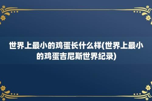 世界上最小的鸡蛋长什么样(世界上最小的鸡蛋吉尼斯世界纪录)