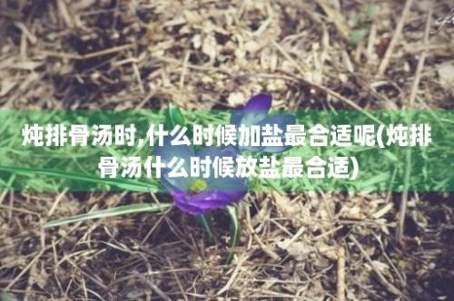 炖排骨汤时,什么时候加盐最合适呢(炖排骨汤什么时候放盐最合适)