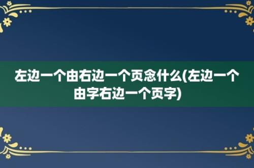 左边一个由右边一个页念什么(左边一个由字右边一个页字)