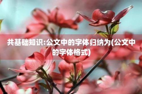 共基础知识:公文中的字体归纳为(公文中的字体格式)