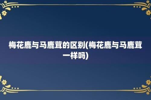 梅花鹿与马鹿茸的区别(梅花鹿与马鹿茸一样吗)