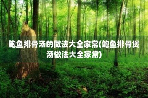 鲍鱼排骨汤的做法大全家常(鲍鱼排骨煲汤做法大全家常)