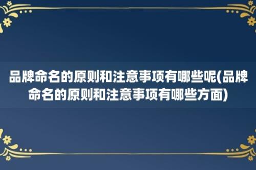 品牌命名的原则和注意事项有哪些呢(品牌命名的原则和注意事项有哪些方面)