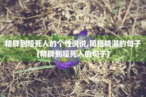 精辟到噎死人的个性说说,简短精湛的句子(精辟到噎死人的句子)