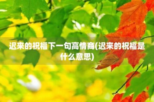 迟来的祝福下一句高情商(迟来的祝福是什么意思)