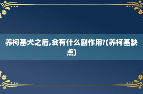 养柯基犬之后,会有什么副作用?(养柯基缺点)