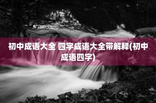 初中成语大全 四字成语大全带解释(初中成语四字)