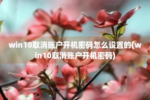 win10取消账户开机密码怎么设置的(win10取消账户开机密码)