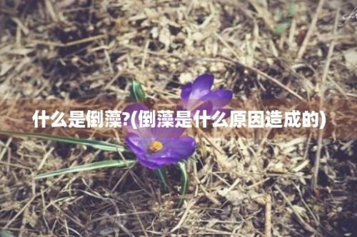 什么是倒藻?(倒藻是什么原因造成的)