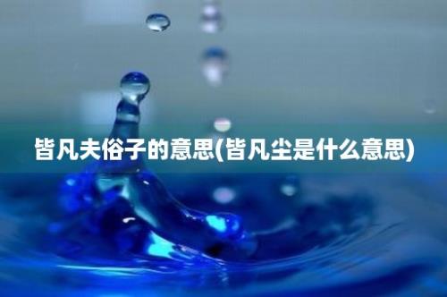 皆凡夫俗子的意思(皆凡尘是什么意思)