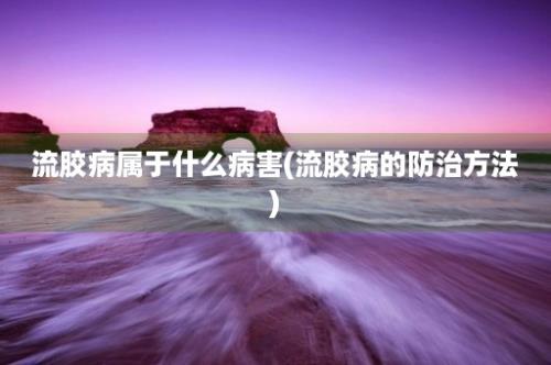 流胶病属于什么病害(流胶病的防治方法)