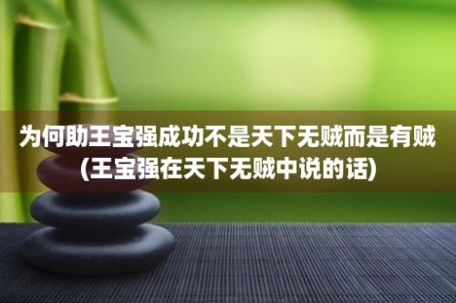 为何助王宝强成功不是天下无贼而是有贼(王宝强在天下无贼中说的话)