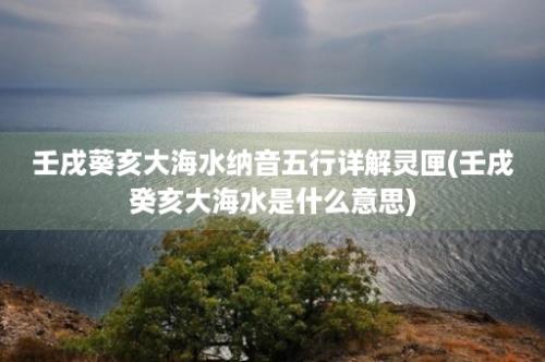 壬戌葵亥大海水纳音五行详解灵匣(壬戌癸亥大海水是什么意思)