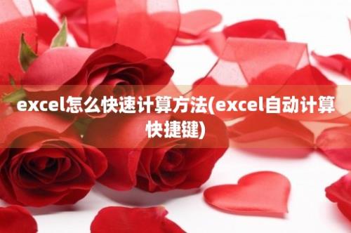 excel怎么快速计算方法(excel自动计算快捷键)