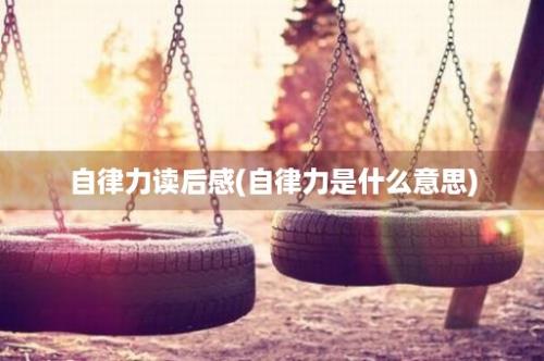 自律力读后感(自律力是什么意思)